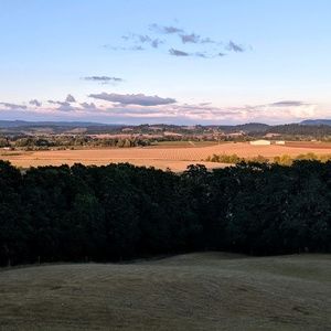 Meet your Posher, Gregg